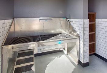 Pet washing station